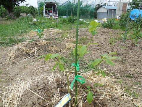 DSCN0750