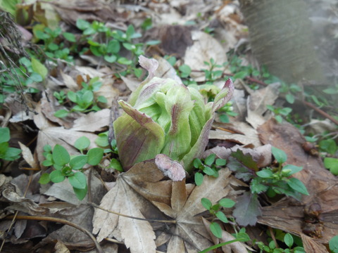 DSCN0580
