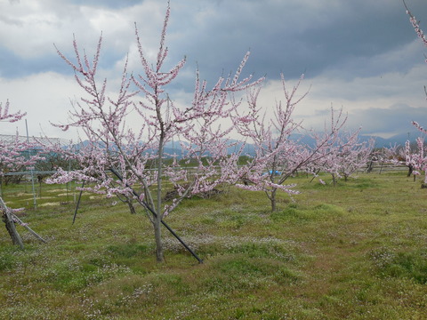 DSCN0651
