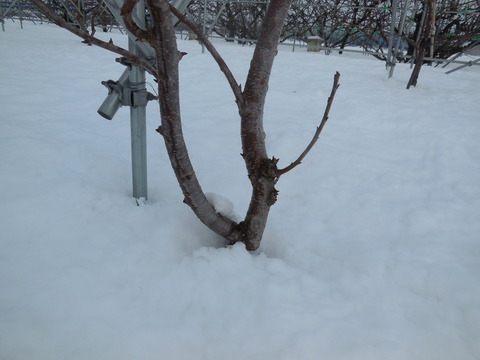 DSCN1039