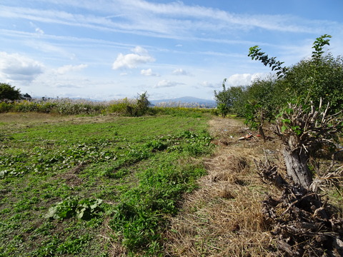 DSC00281