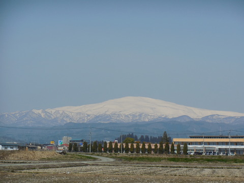 DSCN0619