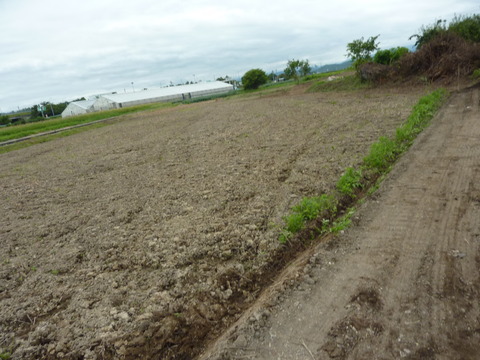 P1120245