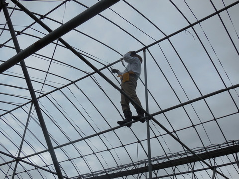 DSCN0287