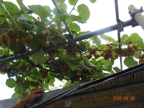 DSC01219