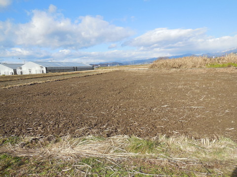 DSCN0965