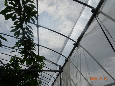 DSC01225