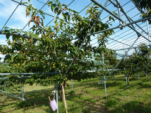 P1130127