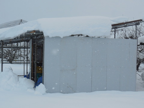 DSCN0970