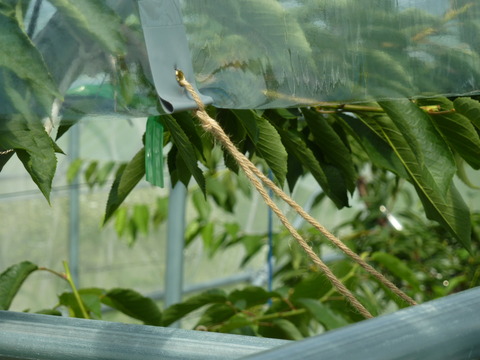 P1130039