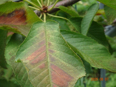 DSC01244