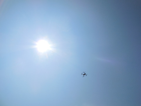 DSCN0295