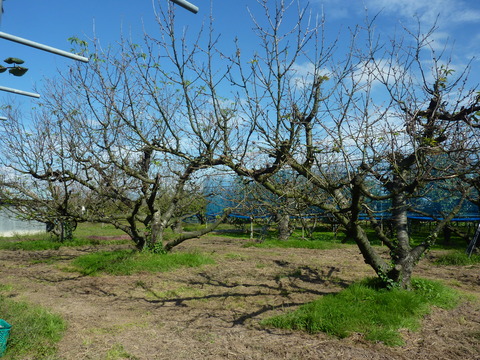 P1130159