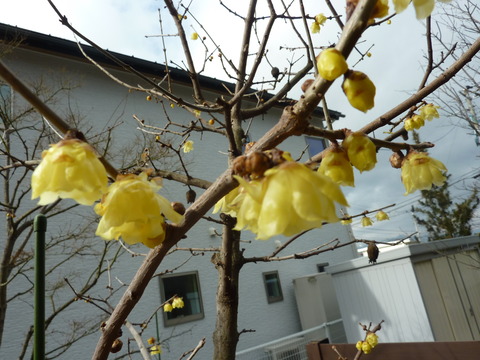 P1110855