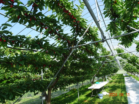 DSC00716