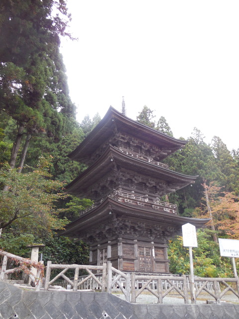 DSCN0460