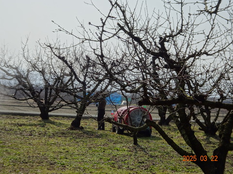 DSC01095
