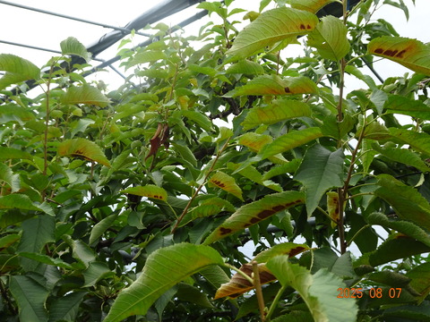 DSC01245