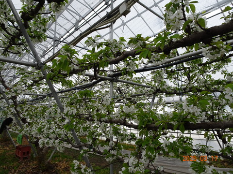 DSC01070