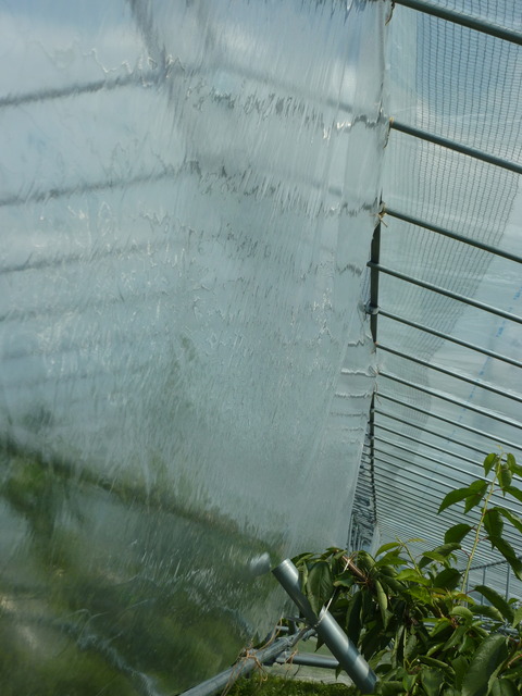 P1130026