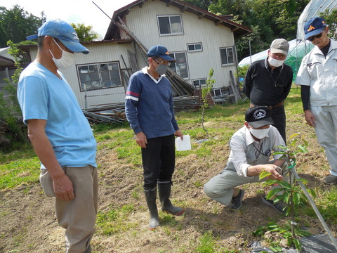 DSCN0705