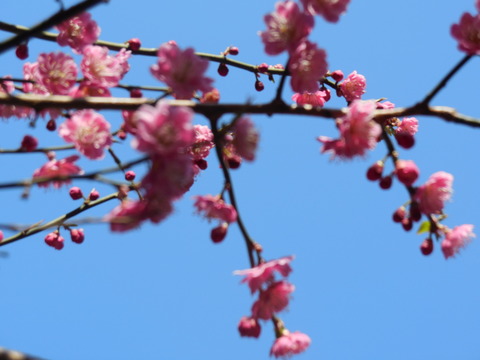 DSCN0604