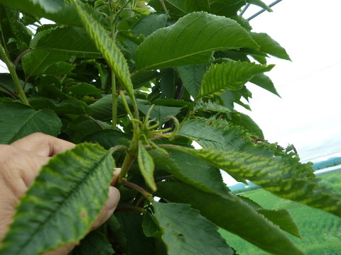 P1120030