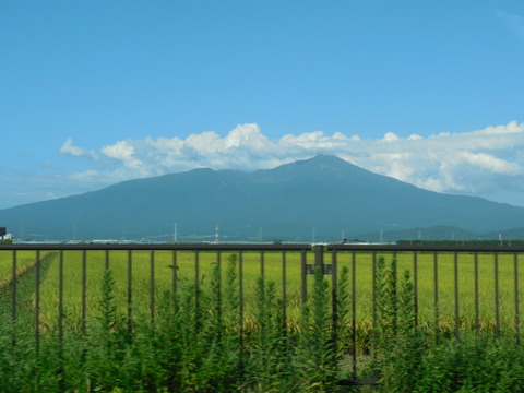DSCN0833