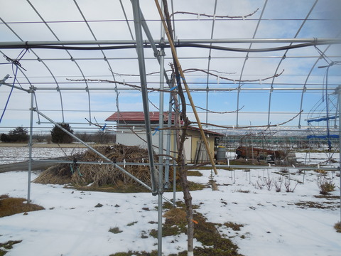 DSCN0578