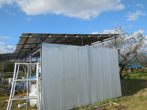 DSCN0893