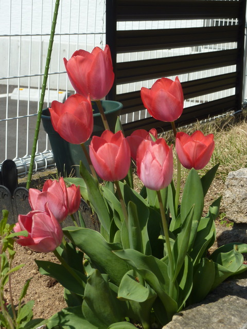 P1110879