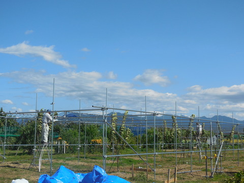 DSCN0433