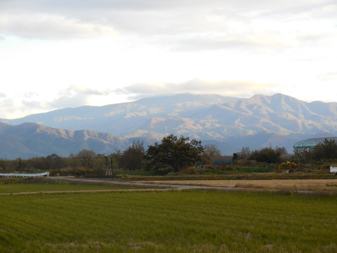 DSCN0501