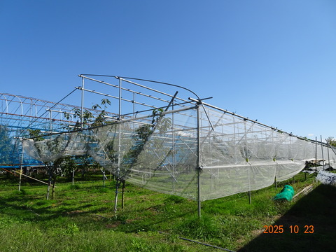 DSC01288