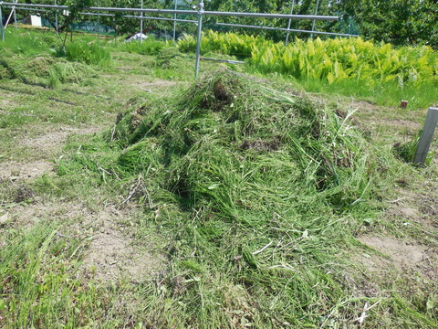 DSCN0713