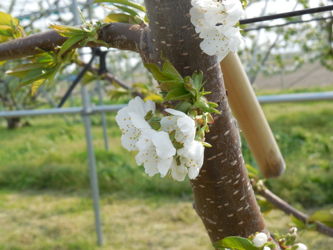 DSCN0671