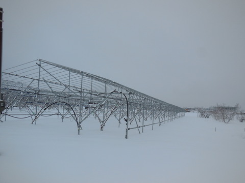 DSCN0999