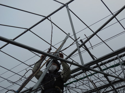 DSCN0597
