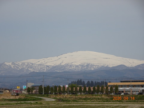 DSC01454