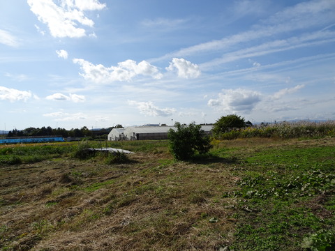 DSC00282