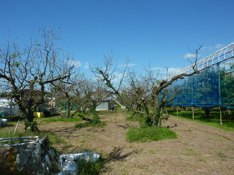 P1130156