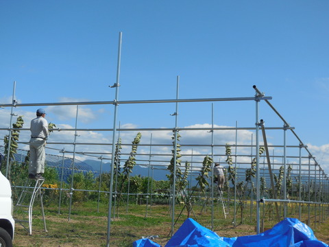 DSCN0434