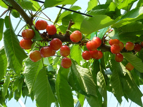 P1110999