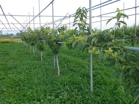 P1120050