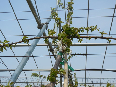 DSCN0674