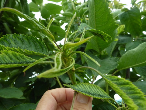 P1120031