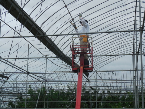 DSCN0289