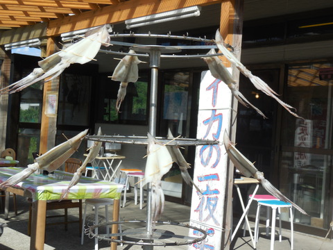 DSCN0829