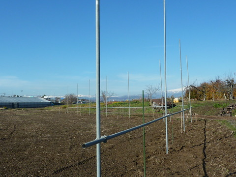 P1120460