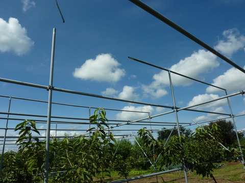 P1120265